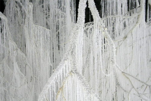 itscolossal: Vertical Emptiness: Crystallized Tree Branches Dripping with Strands of Hot Glue by Yas