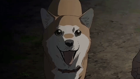 Here's Some Smiling Haiji To Bless You All.