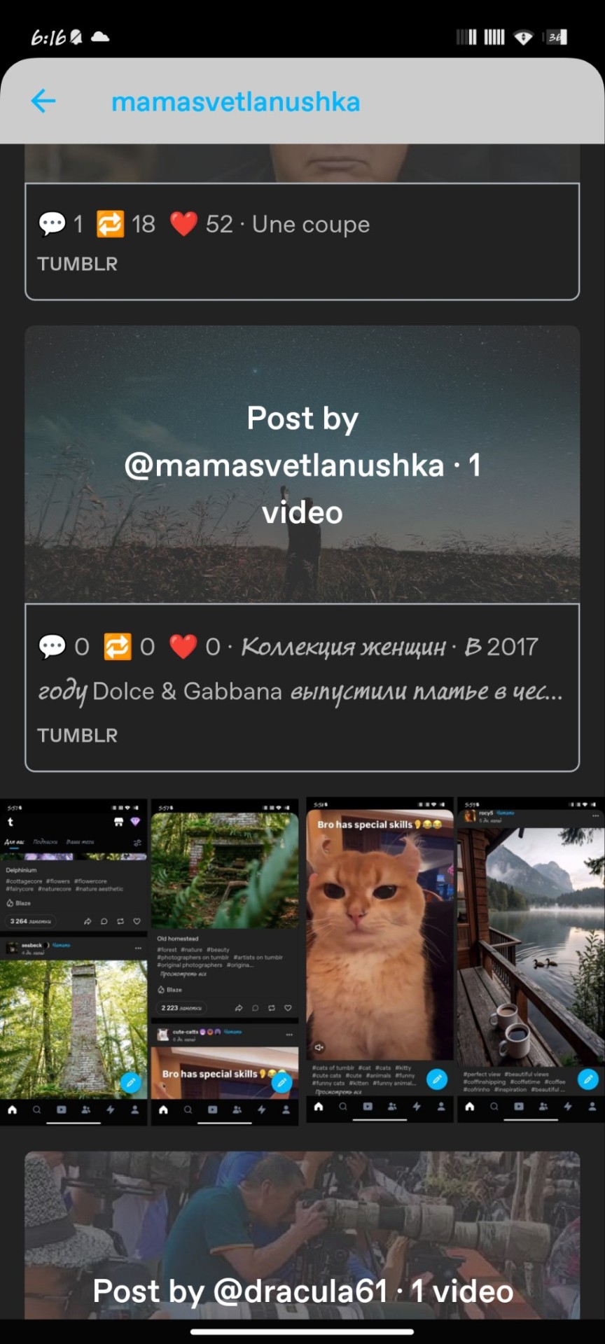 Tumblr media