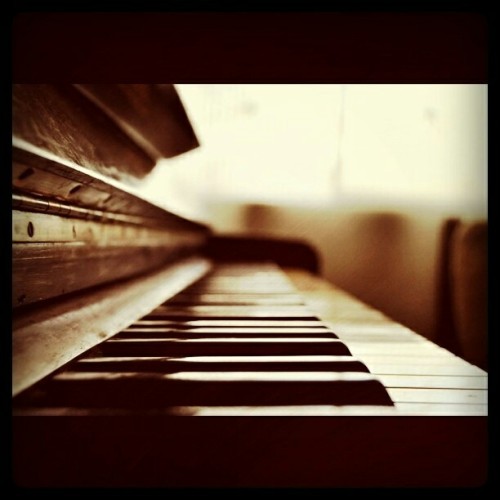 life rocks