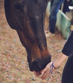 bitchesinbreeches:Pony time well spent :)