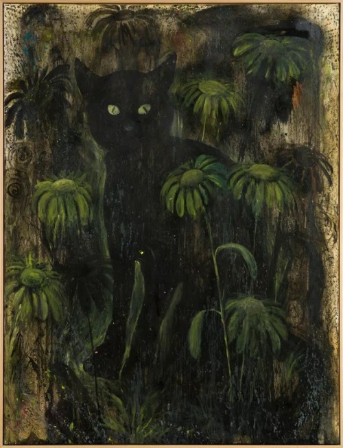 polkadotmotmot:Anders Brinch - Black Cat