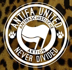 ready-to-fight:  ANTIFA UNITED / NEVER DIVIDED
