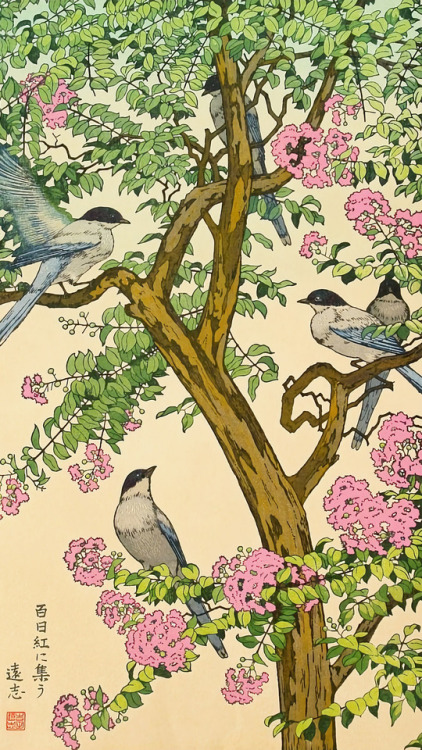 japanese-plants:Crape myrtle and azure-winged magpie, by Toshi Yoshida (1911-1995)吉田遠志「百日紅に集う」