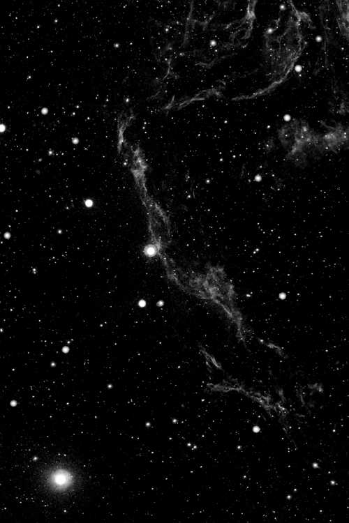 maxsix:Tail of the Cygnus Loop Nebula