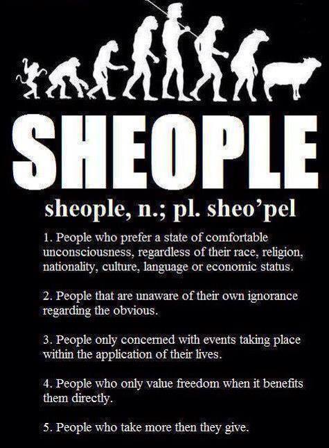 yasmina91:  Sadly, I know way too many “sheople” :(  