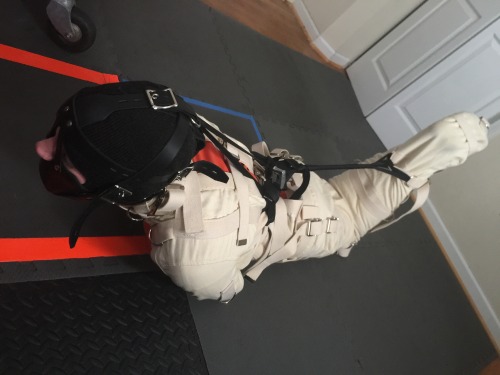 tallglassofoj: @armypup86 needed a “study buddy” which was code for “I’m going to keep you strapped into your canvas straitjacket suit all day and there’s nothing you can do about it”.  Not pictured: the orange jumpsuit I was forced to
