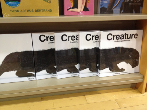 atapi: crecrecrecreature