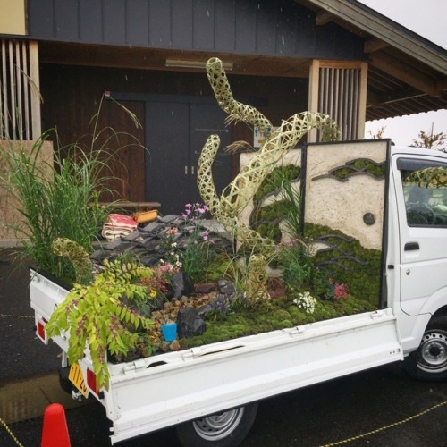 gallusrostromegalus:laptou2:ahonecobra:軽トラガーデンコンテスト✨lightweight truck garden contest That sounds del