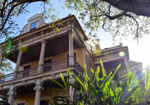 Garden District beauties. New Orleans, Louisiana. March 2016.・For optimal photo quality, view the ga