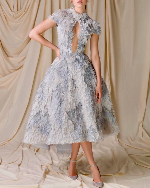 lacetulle:Paolo Sebastian | The Wild Swans