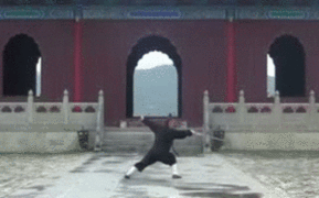gutsanduppercuts:  Wudang’s Tai Yi sword form. This particular form works similarly to Tai Chi and other internal styles in that it employs circular movements to block and redirect and opponent’s attacks. This then leaves the attacker open to offense;