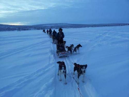 split-in-thirds:In a little town called Jukkasjärvi in Northern Sweden - near the Ice Hotel and the 