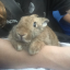 newagevictorianorphan