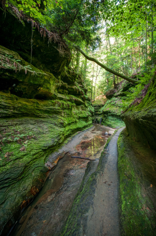 this-is-wild:(via 500px / Untitled by Douglas Adams)  (Turkey Run State Park, Indiana, US)