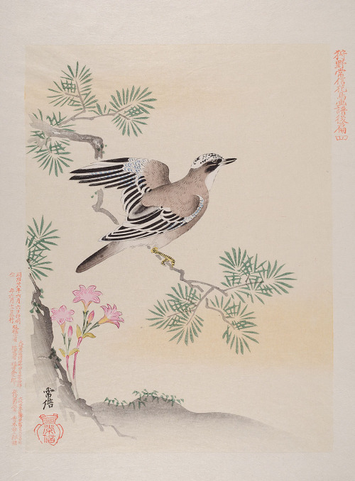 Birds and flowers after Kanō Tsunenobu,  (1636–1713). MKG Hamburg