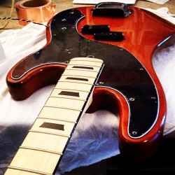 foundryguitars:  Assembly is underway on