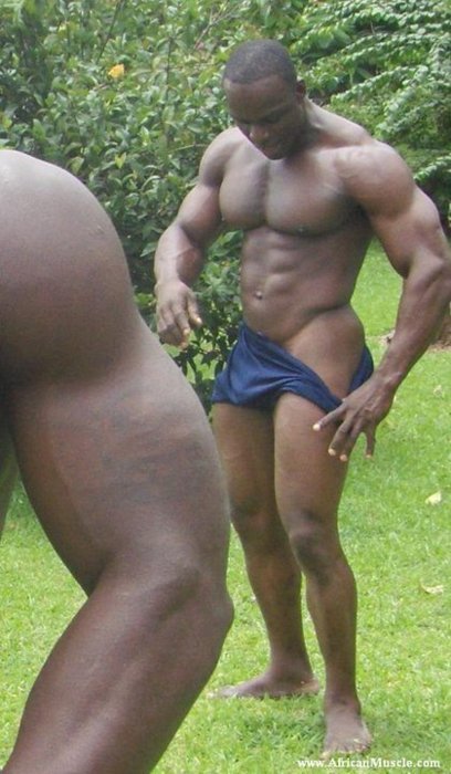 Pro African BB: Tchabe Abraham