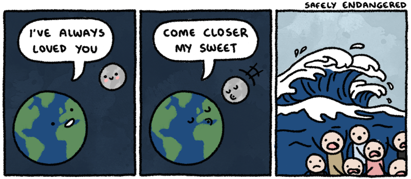 "If I need the moon, I'll bring it down myself."