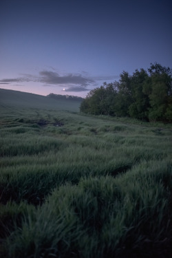 90377: Moonlit hill by George Davis  