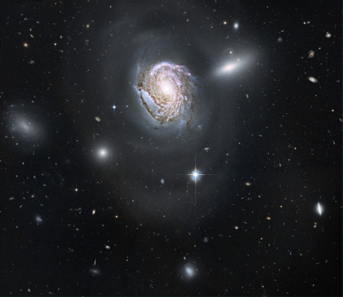 just–space:  Spiral galaxy NGC 4911 porn pictures