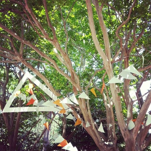 #fmsphotoaday #may10 #inthegarden