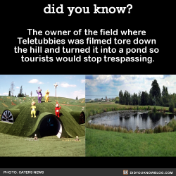 did-you-kno:  The owner of the field where  Teletubbies was filmed tore down  the hill and turned it into a pond so  tourists would stop trespassing.  Source Before: After: Creepy AF: 