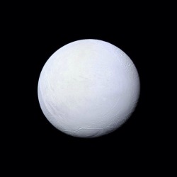 robertozod:It was just discovered that there is a large ocean of water deep within the surface of Saturn’s icy moon, Enceladus.