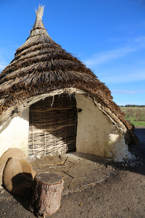 Neolithic Housing, Stonehenge, 28.1.17.