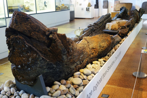 Bronze Age Log Boat from Shardlow, Derbyshire, Derby Museum and Gallery, 6.1.18.This Bronze Age Log 