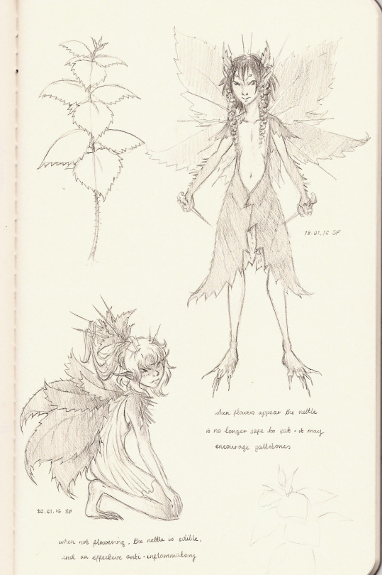 A Few More Plant Fairies, This Time Stinging Nettles And Some Unidentified Thistle-like Thing.Did You