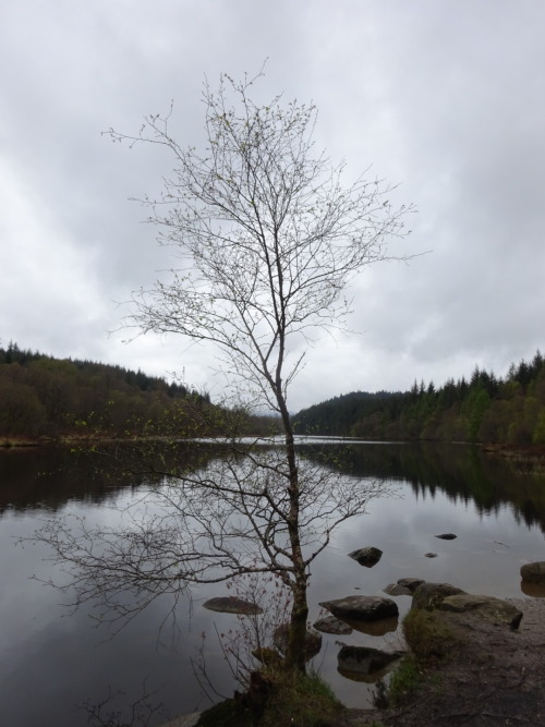 Take The Thing You Love The Most To A Forest Pool And Leave It On The Shore.