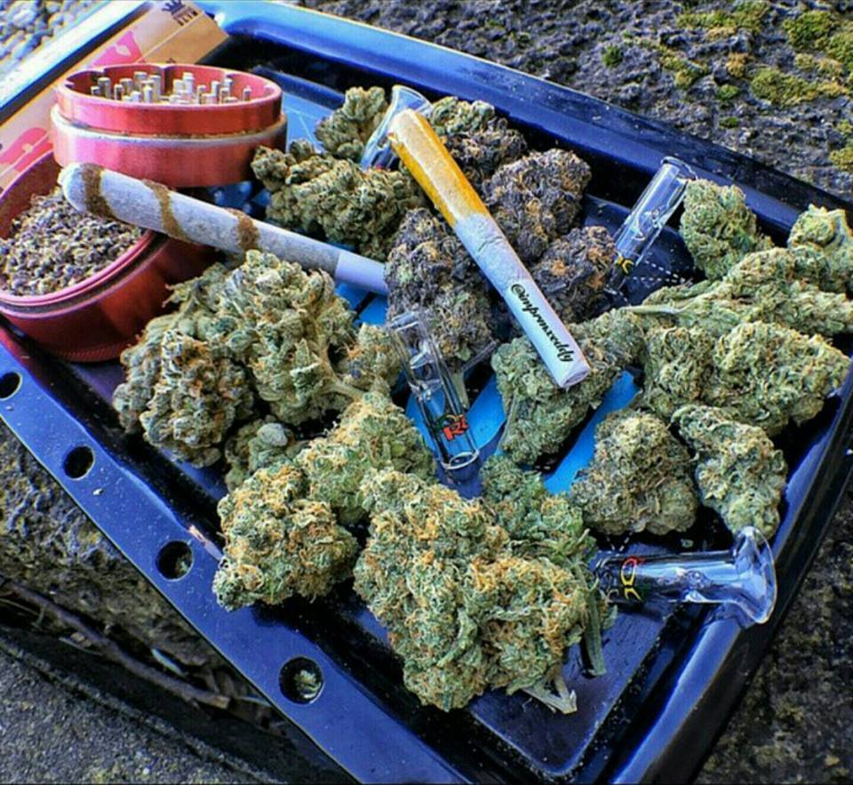 questionbluntz:  Party platter for two  