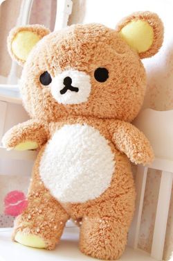 kawaii-i:  rilakkuma plush bear 