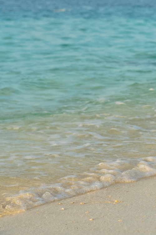 plasmatics-life:  Maldives ~ By Jamie Frith 
