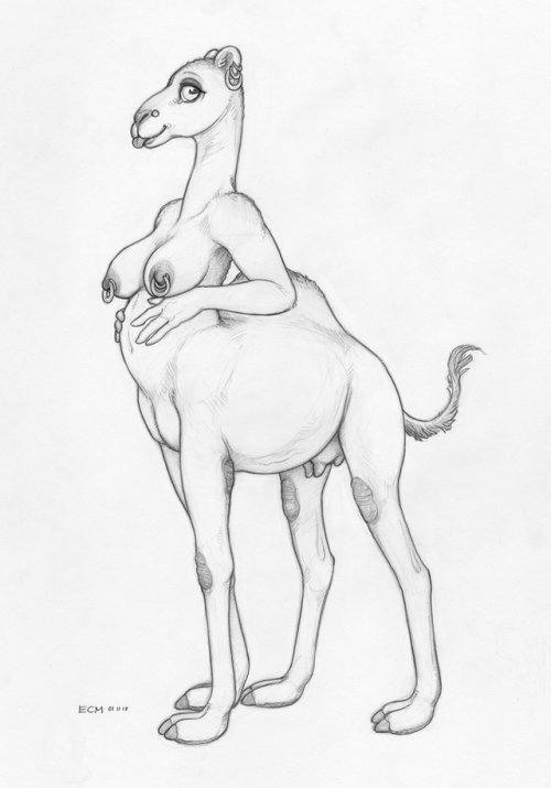 Porn photo A couple of quick camel scribbles One naughty