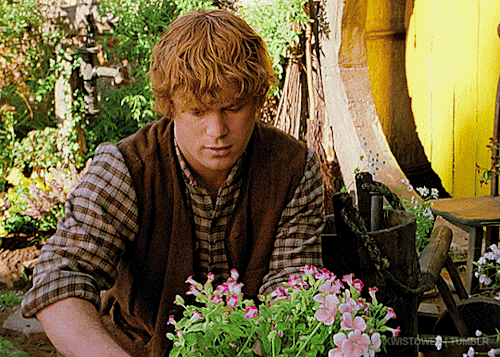 kwistowee:➥ Character Introduction: Samwise Gamgee The Lord of the Rings: The Fellowship of the Ring