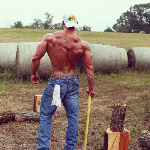 billyraysorensen:  Muscled up and all male …