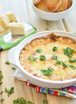 do-not-touch-my-food:  Caramelized Onion Dip