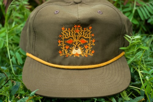 SHOP UPDATE IS LIVE!
