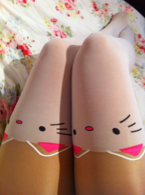 Porn the-littlegirl-lost:  Cute kitten tights photos