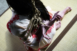 justscreenshots:  失楽宴 Shibari Naka