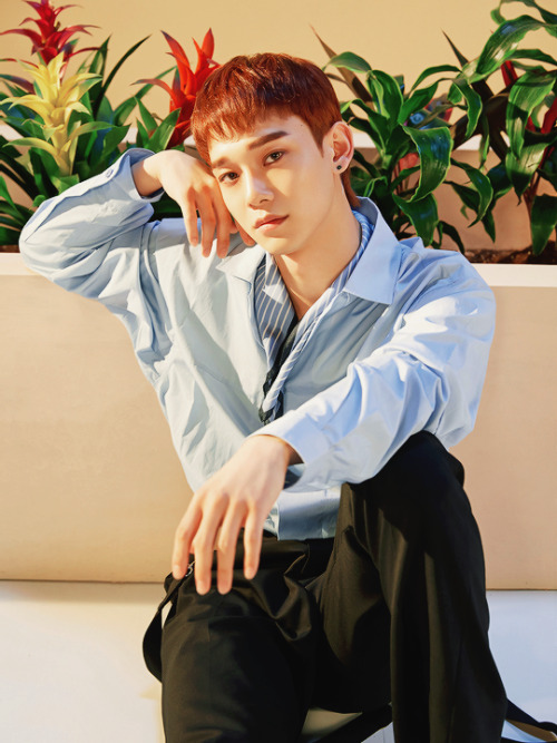 baekhyuntella:Chen - Blooming Day Teaser Photos