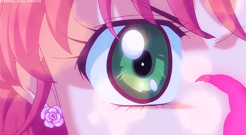 eternal-sailormoon:  Flower Hurricane! 