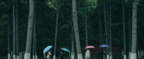 folditdouble:  Women in Film Challenge 2020: [23/52] The Farewell, dir. Lulu Wang (USA, 2019) You guys moved to the West long ago. You think one’s life belongs to oneself. But that’s the difference between the East and the West. In the East, a person’s
