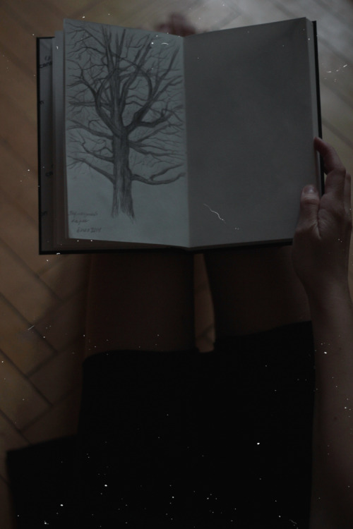 nataliemirina:  One of autumn evenings