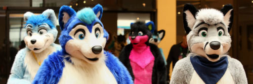 XXX dnotive:  cracked:  Not all furries are interested photo
