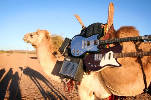 johnnylawgottagun - The guitars of Tinariwen, a Sahara based...