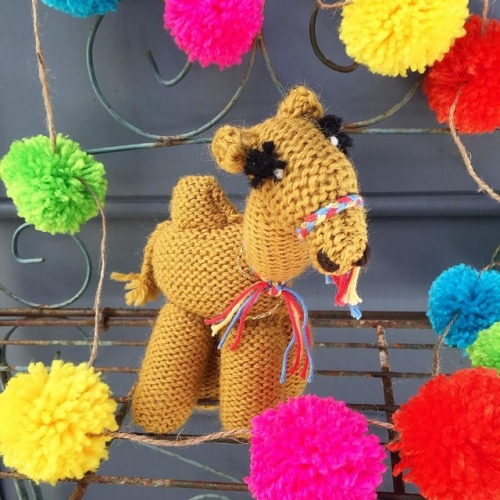 This goofy knitted camel with her luscious eyelashes always makes me smileBased on a pattern from an