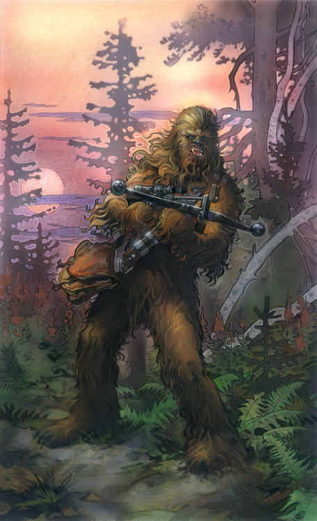 mudg3t:  Star Wars Illustrations by Terese adult photos